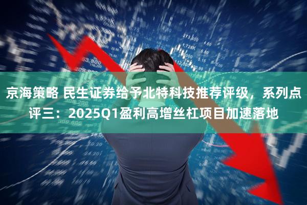 京海策略 民生证券给予北特科技推荐评级，系列点评三：2025Q1盈利高增丝杠项目加速落地