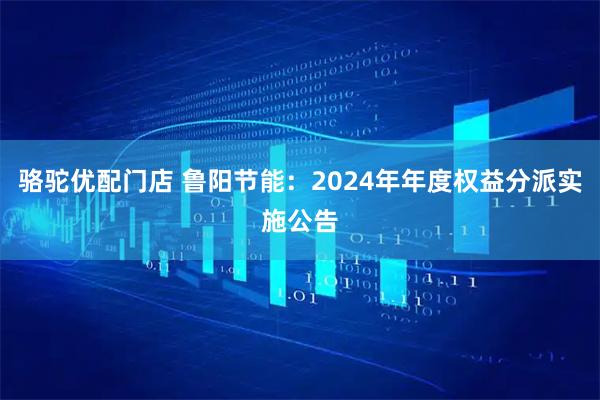 骆驼优配门店 鲁阳节能：2024年年度权益分派实施公告